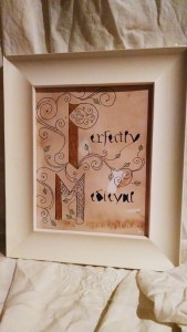 IMG_20150126_191026184_1